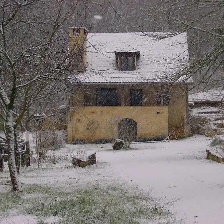 Owi - Idyllisches Inmitten Der * 派拉克