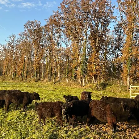 Prázdninový dům Owi - Idyllisches Inmitten Der *